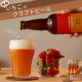 【ふるさと納税】完熟いちごのクラフトビール×6本_ストロベリージューシーエール M-MQ-A01A