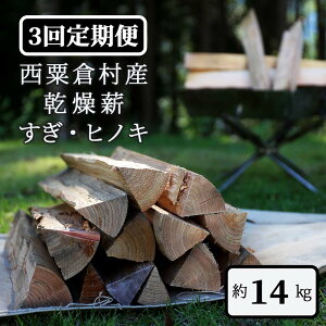 yӂ邳Ɣ[Łz y3ցzd EqmL 14kgE N-ms-B02A