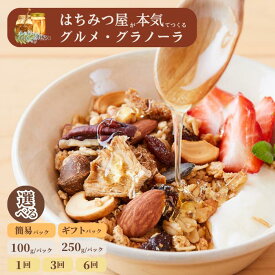 【ふるさと納税】グラノーラ 無添加 国産はちみつ使用 【ノラノーラ ミケ&クロ】ココナッツ・ショコラ A-MT-J05A