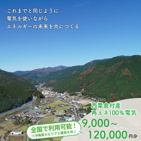 【ふるさと納税】電気料金 百森でんき CO2フリー 地域電力 お礼の電気 脱炭素 ゼロカーボン 岡山県 西粟倉村 【まずは寄付のお申し込みを！】 e-vv-J01D