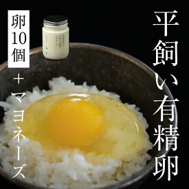 【ふるさと納税】【5月中旬以降発送】平飼い有精卵 10個＋オリジナルマヨネーズ《西粟倉村》【株式会社点々】 たまご 卵 鶏卵 玉子 生卵 無添加 マヨネーズ 平飼い 岡山 玉子焼 卵焼き 卵かけご飯 新鮮 濃厚 純国産 後藤もみじ【配送不可地域：沖縄・離島】t-SS-AlEA