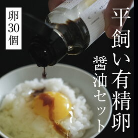 【ふるさと納税】【5月中旬以降発送】平飼い有精卵 30個＋だし醤油セット《西粟倉村》【株式会社点々】 たまご 卵 鶏卵 玉子 生卵 無添加 醤油 平飼い 岡山 玉子焼 卵焼き 卵かけご飯 新鮮 濃厚 純国産 後藤もみじ【配送不可地域：沖縄・離島】t-SS-AnEA