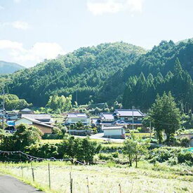 【ふるさと納税】西粟倉村内・空き家災害時見回りサービス T-zz-A04A