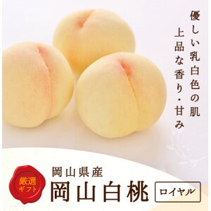 yӂ邳Ɣ[Łzy2026NzRY@ 6 (1.5kgȏ) :C ϔyzsnFEkCEꌧzy1501092z