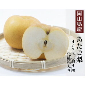 yӂ邳Ɣ[ŁzRY  4`7(4kg) ϔyzsnFEkCEꌧzy1501095z