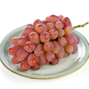 yӂ邳Ɣ[Łz 2kg 1 ~uhE Ԃǂ uhE  ʕ t[c { s\ Gߌ  RY Y R 璬 ①  y2024N10{-11{\
