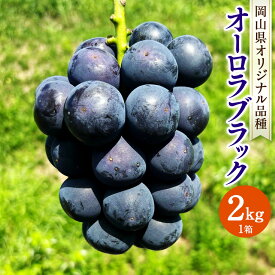 【ふるさと納税】オーロラブラック 約2kg 1箱 19000円 1万9000円 ぶどう ブドウ 葡萄 果物 フルーツ 旬 先行予約 季節限定 お取り寄せ 岡山県産 国産 岡山県 美咲町 冷蔵 送料無料 【2026年8月上旬-9月下旬発送予定】