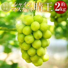 【ふるさと納税】シャインマスカット 晴王 約2kg 23000円 2万3000円 マスカット ぶどう ブドウ 葡萄 グレープ フルーツ 果物 デザート おやつ 種なし 皮ごと 高級 旬 先行予約 季節限定 岡山県 美咲町 冷蔵 【2026年9月下旬-10月下旬発送予定】 送料無料