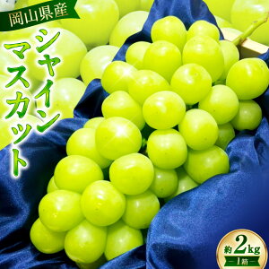 yӂ邳Ɣ[Łzys\zRY VC}XJbg 2kg 1 }XJbg Ԃǂ uhE t[c ʎ  ʕ  퉷 R 璬  y2025N9{-10