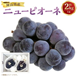 yӂ邳Ɣ[Łzys\zRY j[sI[l 2kg 1 Ԃǂ uhE t[c ʎ  ʕ  퉷 R 璬 y2026N8{-9{\z