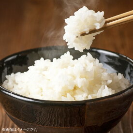 【ふるさと納税】岡山県 美咲町産 きぬむすめ 〈選べる〉 5kg / 10kg / 15kg / 20kg 令和7年産米先行予約 13000円 ～ 43000円 1万3000円 ～ 4万3000円 白米 お米 米 コメ 精米 ごはん ご飯 単一原料米 送料無料【2025年11月上旬-2026年10月下旬発送予定】