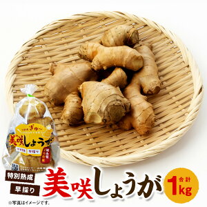 yӂ邳Ɣ[Łz炵傤 1kg I 傤 WW[ K  Y  Y R 璬 