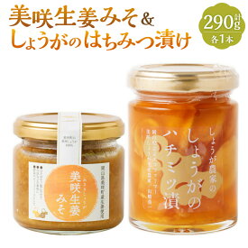 【ふるさと納税】美咲生姜みそ & しょうがのはちみつ漬け セット 各1個 計2個 計290g はちみつ 蜂蜜漬け 蜂蜜 蜂蜜生姜 味噌 みそ 生姜 しょうが 美咲しょうが 米みそ ディップソース ごはんのお供 調味料 瓶 国産 常温 岡山県 美咲町 送料無料