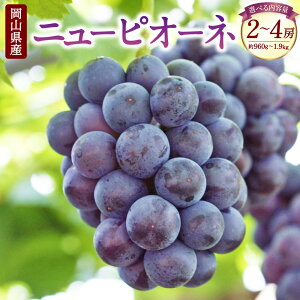 yӂ邳Ɣ[ŁzRY j[sI[l qIׂr2`4[ 960g`1.92kg sI[l Ԃǂ  O[v ʕ t[c  fU[g y2025N8{-10{\z 