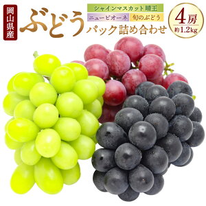 yӂ邳Ɣ[ŁzRY Ԃǂ pbN l 3 4pbN v4[ 1.2kg j[sI[l VC}XJbg  {̂ԂǂC Zbg sI[l }XJbg t[c lߍ킹 H