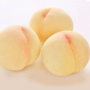 yӂ邳Ɣ[ŁzqIׂr5 / 6 / 8 1.5kg`2kg FC ϔ or ؔ   ʕ ʎ t[c fU[g  Y R 璬 ①  y2025N7