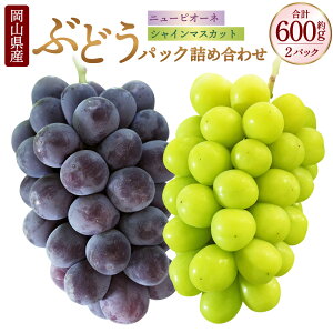 yӂ邳Ɣ[ŁzRY Ԃǂ pbN l 2 2pbN v2[ 600g j[sI[l VC}XJbg  e1[ e300g Zbg sI[l }XJbg ʕ t[c lߍ킹 H