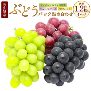 yӂ邳Ɣ[ŁzRY Ԃǂ pbN l 3 4pbN v4[ 1.2kg j[sI[l VC}XJbg  {̂ԂǂC Zbg sI[l }XJbg t[c lߍ킹 H