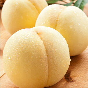 yӂ邳Ɣ[ŁzRC 5 1.5kgȏ ϔ     ʕ ʎ t[c Mtg  ① Y R 璬  y2026N7{`8{\z