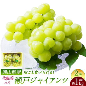 yӂ邳Ɣ[Łz˃WCAc 2[ 1[480gȏ v1kg ϔ Ԃǂ uhE   ʕ ʎ t[c Mtg  ① Y R 璬 y2025N9{`10