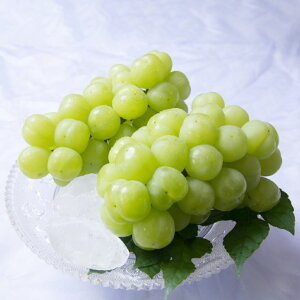 yӂ邳Ɣ[Łz˃WCAc 2[ 1[480gȏ v1kg ϔ Ԃǂ uhE   ʕ ʎ t[c Mtg  ① Y R 璬 y2025N9{`10