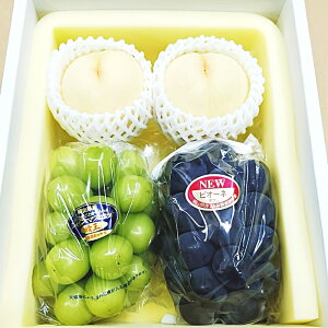 yӂ邳Ɣ[Łz 2ʁEj[sI[l 1[EVC}XJbg  1[ lߍ킹 Zbg ϔ 3   Ԃǂ  ʕ t[c Mtg  ① Y R 