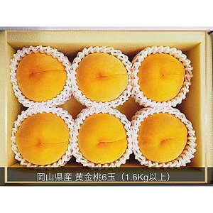 yӂ邳Ɣ[Łz 6 1.6kgȏ ϔ    ʕ ʎ t[c Mtg  ① Y R 璬  y2026N8{`9{\z