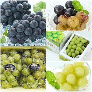 yӂ邳Ɣ[ŁzyԂǂ3z}XJbgIuALThA j[sI[l  VC}XJbg ϔ v5[ Ԃǂ   ʕ t[c Mtg  ① 