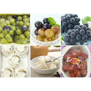 yӂ邳Ɣ[Łzyʕ4zj[sI[l VC}XJbg    ϔ Ԃǂ uhE  iV Ȃ  ʕ ʎ t[c Mtg  ① R