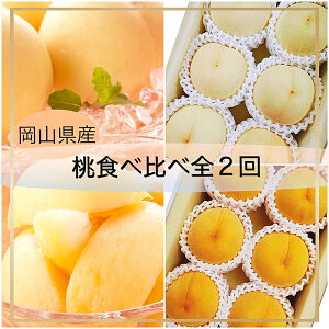 yӂ邳Ɣ[Łzy2z  e6 ϔ    ʕ ʎ t[c Mtg  ① R 璬  y2026N7{蔭Jnz