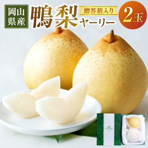 yӂ邳Ɣ[Łz [[ 2   Ȃ iV t[c  ʕ ʎ RY R 璬  y2025N11{`12{\z