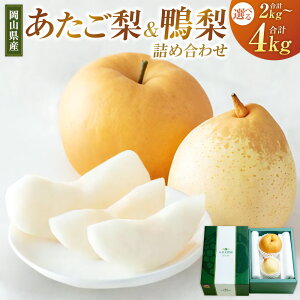 yӂ邳Ɣ[ŁzEi[[jl Zbg qIׂr v 2kgij܂ v4kgiϔj  Ȃ iV t[c  ʕ ʎ RY R 