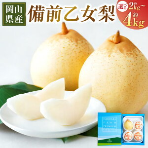 yӂ邳Ɣ[ŁzO qIׂr2kgi3`4ʁj܂ 3kgi5`6ʁj܂ 4kgi6`9ʁj  Ȃ iV t[c  ʕ ʎ RY R 璬  y2025N11