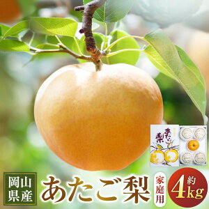 yӂ邳Ɣ[Łz 4kg 3`9 ƒp  Ȃ iV t[c  ʕ ʎ RY R 璬  y2025N11{`12{\z