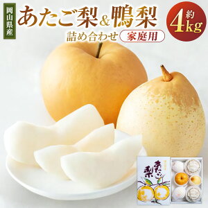 yӂ邳Ɣ[ŁzE lߍ킹 Zbg v4kg ƒp [[  Ȃ iV t[c  ʕ ʎ RY R 璬  y2025N11{`12{