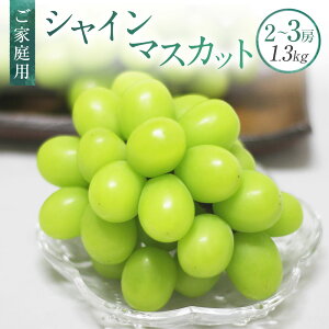 yӂ邳Ɣ[ŁzyƒpzVC}XJbg 2`3[ 1.3kg }XJbg Ԃǂ uhE  Ȃ ʕ  t[c  fU[g ① RY R 璬 y2025