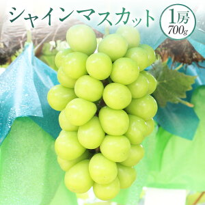 yӂ邳Ɣ[ŁzVC}XJbg 1[ 700g }XJbg Ԃǂ uhE  Ȃ ʕ  t[c  fU[g ① RY R 璬 y2025N9{`10