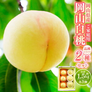 yӂ邳Ɣ[Łzy ƒ p z R  26 1.5kg y 2026N7{8{\ z ʕ  t[c   Â  _炩 W[V[  R 璬 