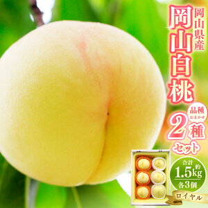 yӂ邳Ɣ[Łz R  26 i C j 1.5kg y 2026N7{8{\ z ʕ  t[c   Â  _炩 W[V[  R 璬 