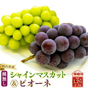 yӂ邳Ɣ[Łz y  ƒ p z VC  sI[l 1.2L y 2026N9{10{\ z ʕ  t[c Ԃǂ uhE  VC}XJbg Hה Zbg