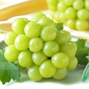 yӂ邳Ɣ[Łzƒp VC}XJbg  qIׂ eʁr400g(1[) / 800g(2[) / 1.5kg(3`6[) / 2kg(3`6[) Ԃǂ  }XJbg ʕ t[c fU[g  ƒp R
