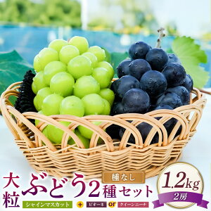 yӂ邳Ɣ[Łz嗱 Ԃǂ 2 Zbg VC}XJbg  2[ 1.2kg sI[l ܂ NC[j[i }XJbg Ԃǂ uhE  Ȃ ʕ  t[c lߍ킹 