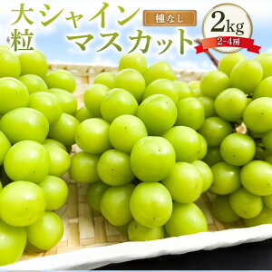 yӂ邳Ɣ[Łz嗱 VC}XJbg 2`4[ 2kg }XJbg Ԃǂ uhE  Ȃ ʕ  t[c  fU[g 퉷 RY R 璬 y2025N10