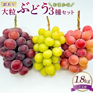 yӂ邳Ɣ[Łz󂠂 嗱 Ԃǂ 3Zbg 3`4[ 1.8kg 3킨܂ VC}XJbg sI[l NC[j[i I[ubN  Ȃ t[c lߍ킹 ƒp 퉷 
