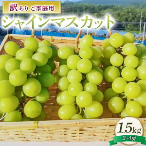 yӂ邳Ɣ[Łz󂠂 VC}XJbg 2`4[ 1.5kg ƒp }XJbg Ԃǂ uhE  Ȃ ʕ  t[c lߍ킹  fU[g 퉷 RY R 