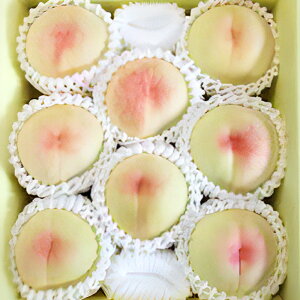 yӂ邳Ɣ[Łzys\zƂ낯ʓƂՂʏ`̉R̔ P qIׂr 1.5kg or 2kg   s[` ʕ t[c  fU[g  R 璬 ① 