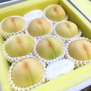 yӂ邳Ɣ[Łzys\zƂ낯ʓƂՂʏ`̉R̔  qIׂr 1.5kg or 2kg   s[` ʕ t[c  fU[g  R 璬 