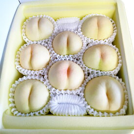 【ふるさと納税】【先行予約】とろける果肉とたっぷりの果汁の岡山の白桃 おかやま夢白桃 〈選べる〉 約1.5kg箱 or 約2kg箱 桃 モモ ピーチ 果物 フルーツ おやつ デザート お取り寄せ 岡山県 美咲町 冷蔵 送料無料【2026年8月発送予定】