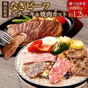 yӂ邳Ɣ[ŁzȂr[t Xe[L & ēJbg 2 ZbgqIׂrv 600g / 900g / 1.2kg Xe[L ē Jbg e300g`600g   4ȏ Ⓚ RY Y R 璬 