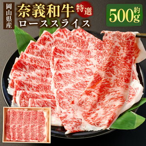 yӂ邳Ɣ[Łzދ`a  [X XCX 500g     ؂ ~ Ԑg Ⓚ RY Y R 璬  yVX[p[SALE 9J